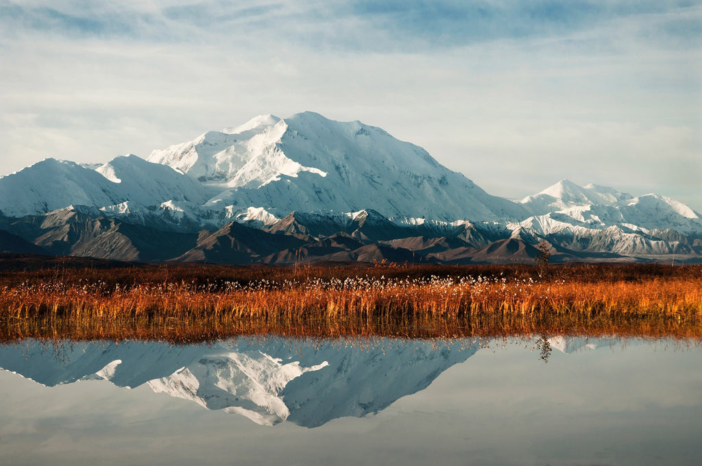 Travel Tips for Visiting National Parks in the Summer