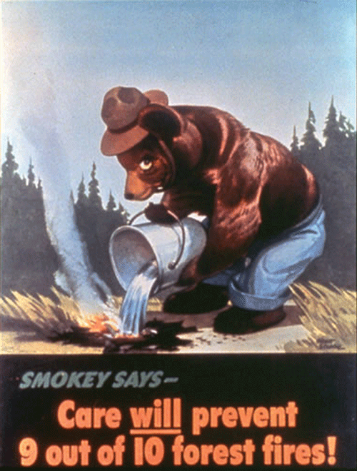 Take the Advice of Smokey Bear and Be Fire Wise with Your Campfire!